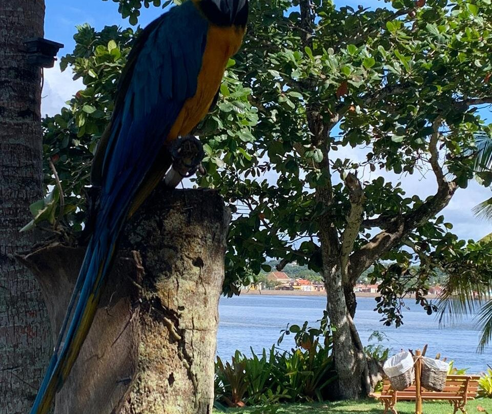 Arraial D'Ajuda Inn主图