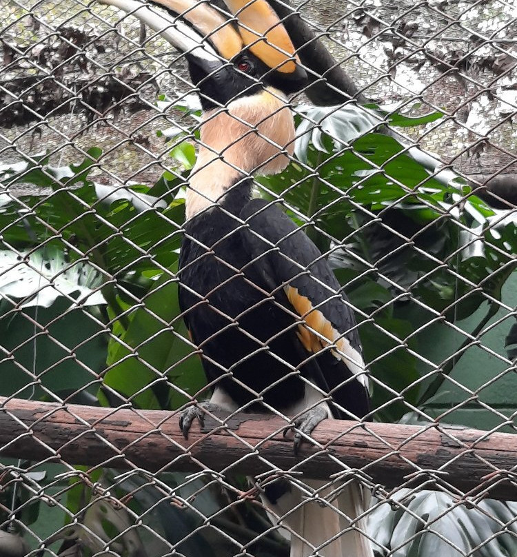 Parque de la Conservación-麦德林必去景点