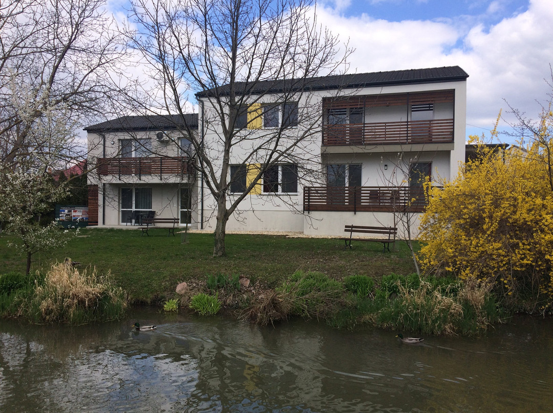 Suri Bau Apartman