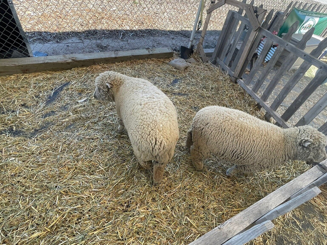 田中农场-尔湾必去景点