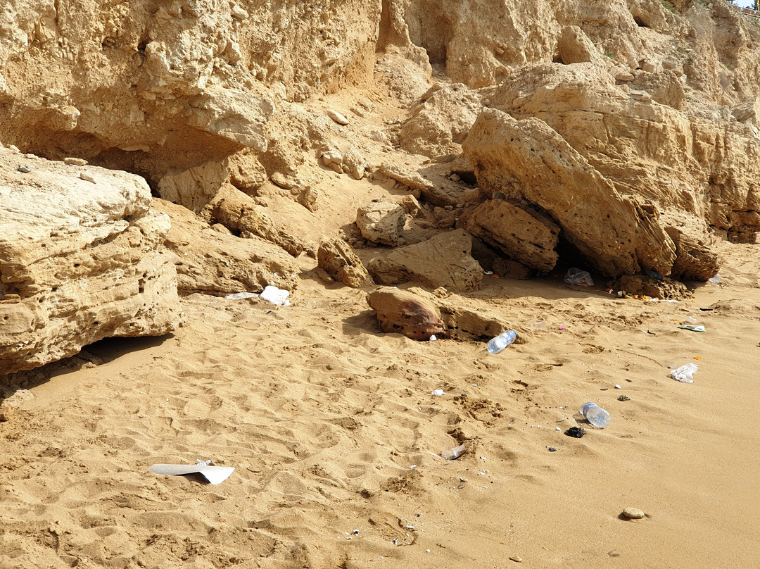 Ree Shahr-Bushehr必去景点