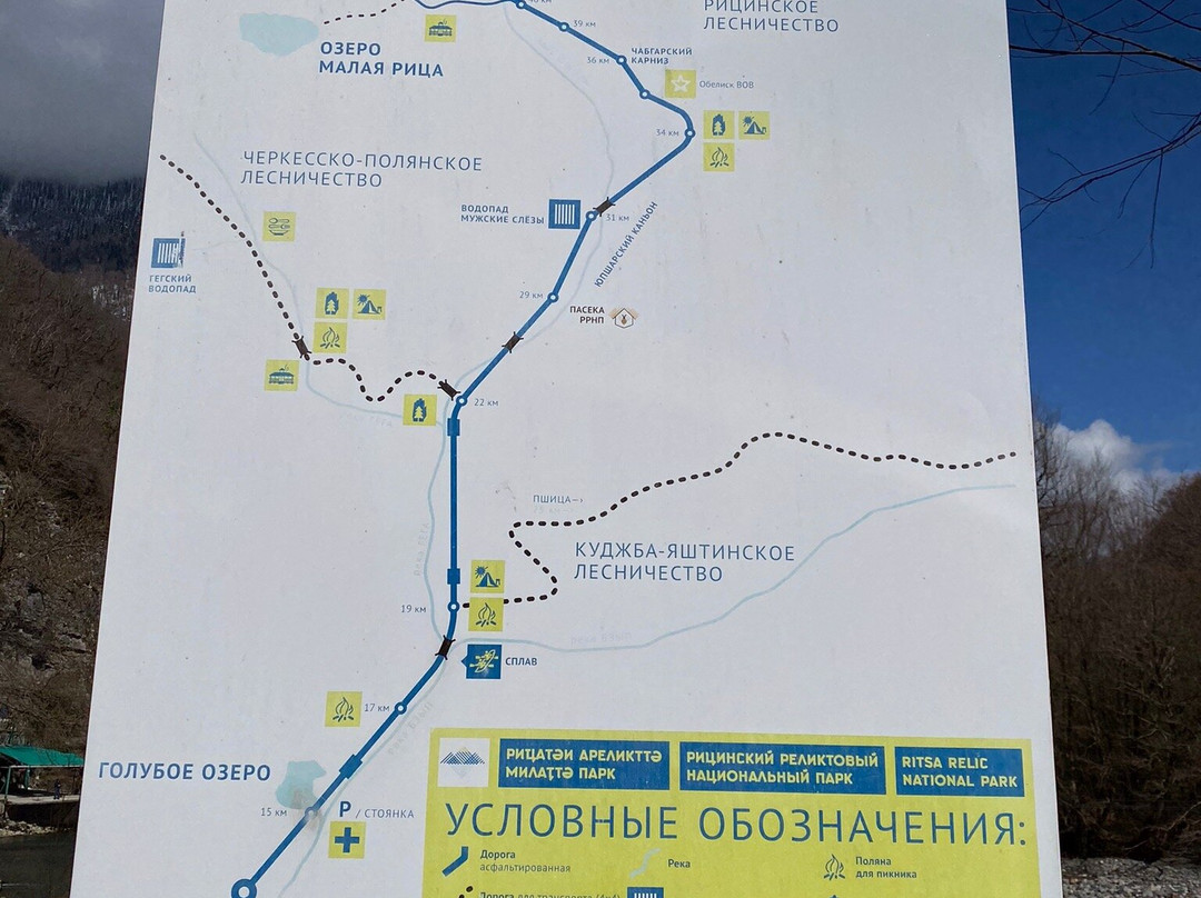 Ritsinskiy Relic National Park景点图片