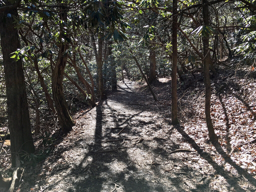 Byron Herbert Reece Trail景点图片