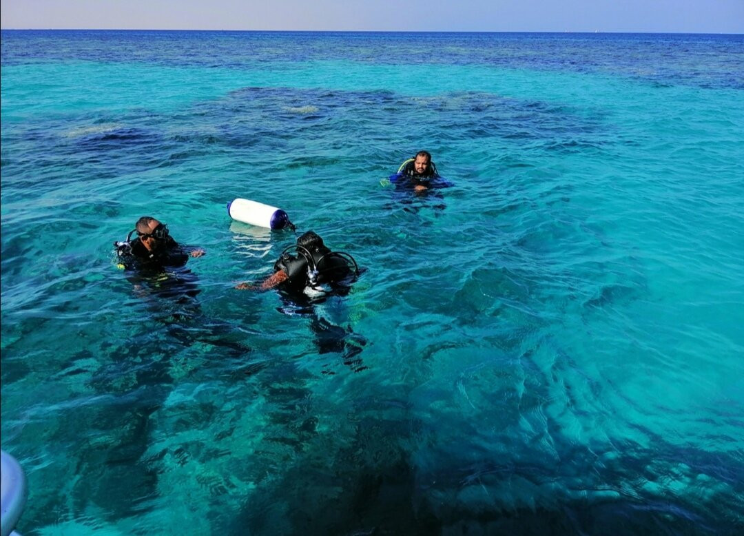Red Sea Secret Diving Center-Port Sudan必去景点
