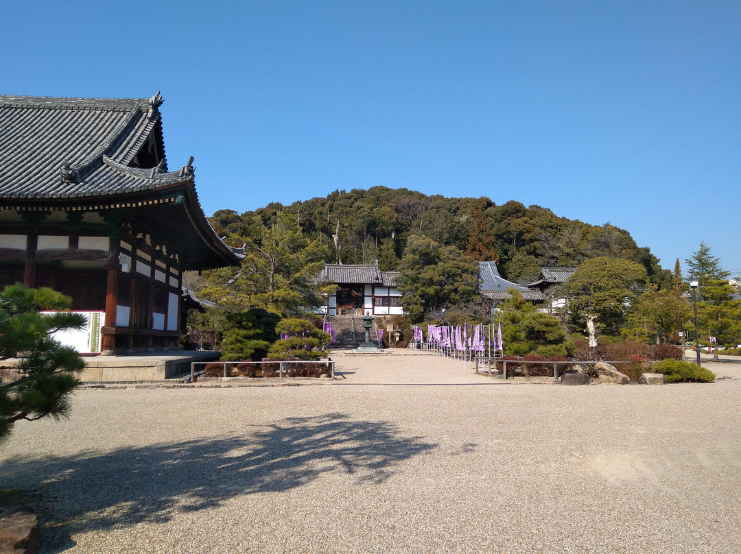 Eifuku-ji Temple景点图片