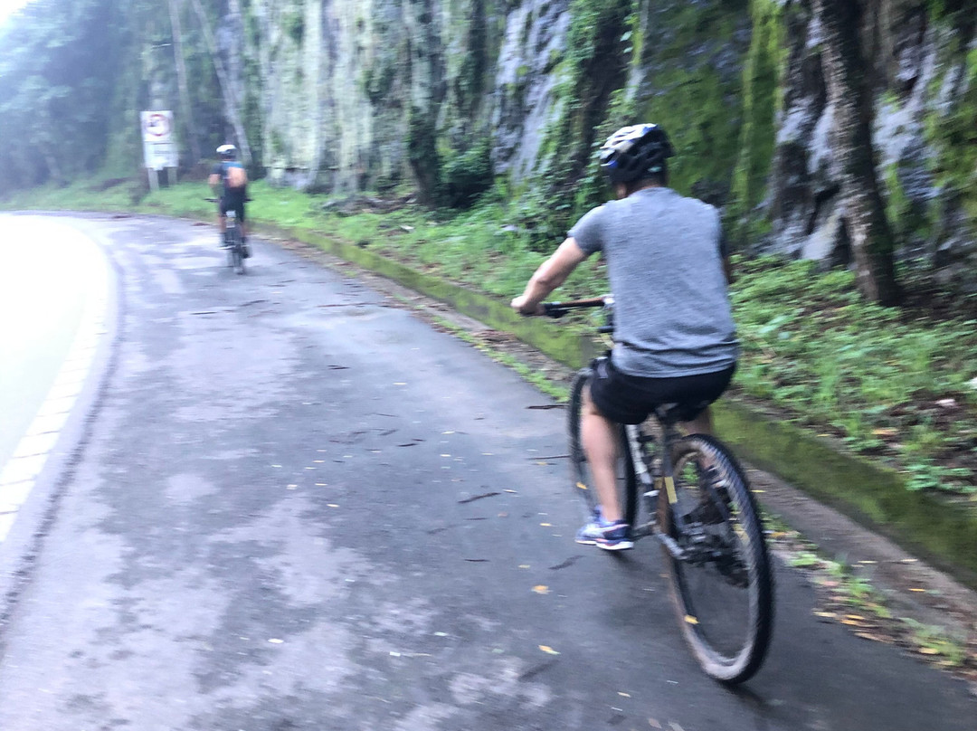 Sou + Bike Paraty景点图片