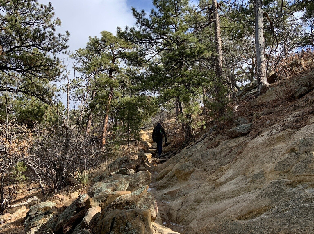 Palmer Park-科罗拉多斯普林斯必去景点