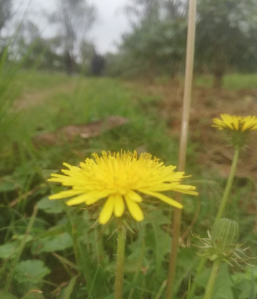 Bike Heroes Tanzania-莫西必去景点