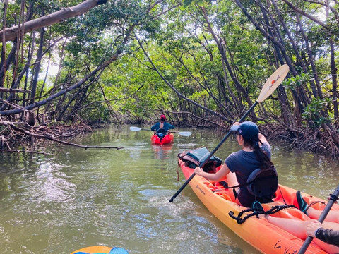 La Vita e' Bella- Marco Eco Tours-马可岛必去景点