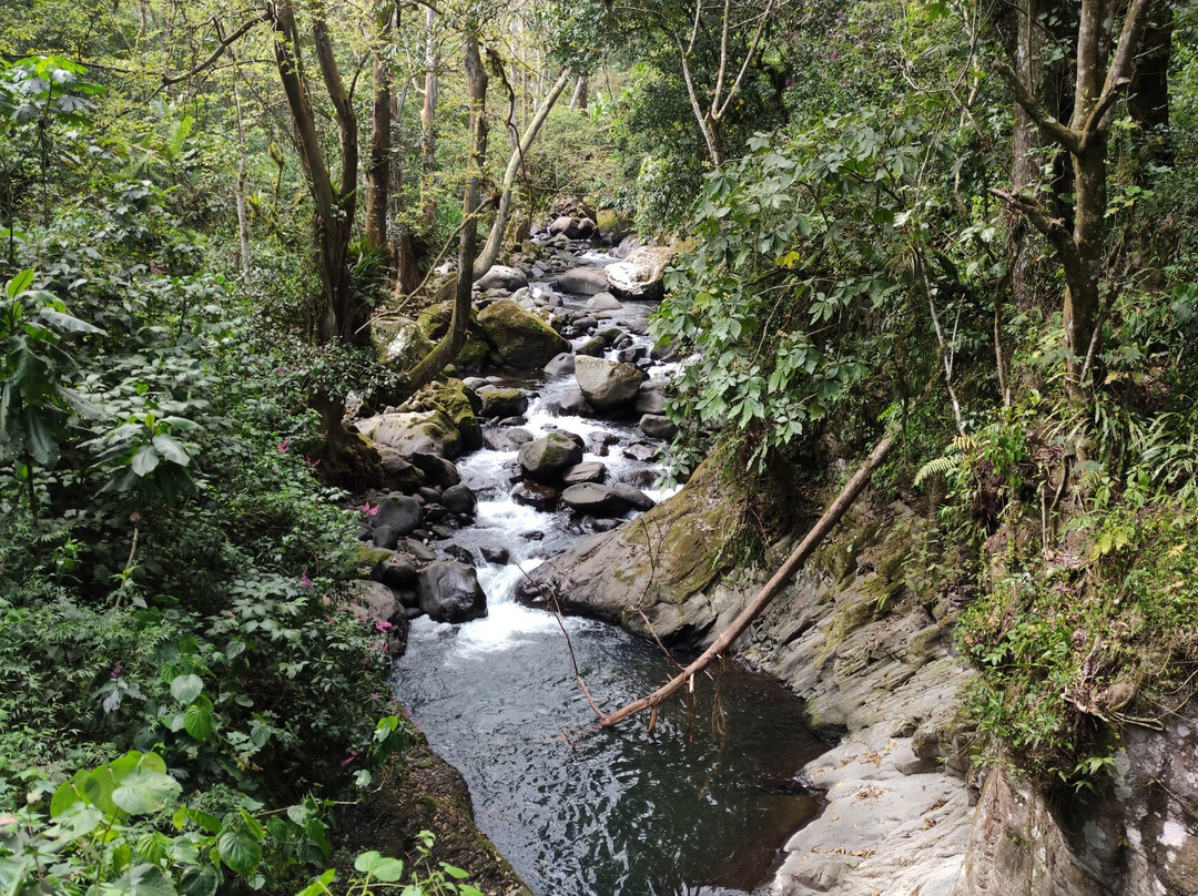 Cascada de Texolo景点图片