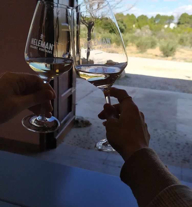 Bodegas Neleman, Casas del Rey - Valencia (Spain)-Venta del Moro必去景点