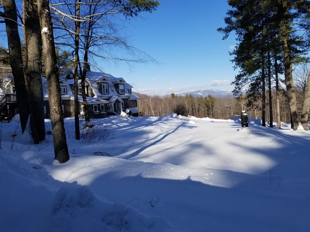 Snowvillage Inn主图