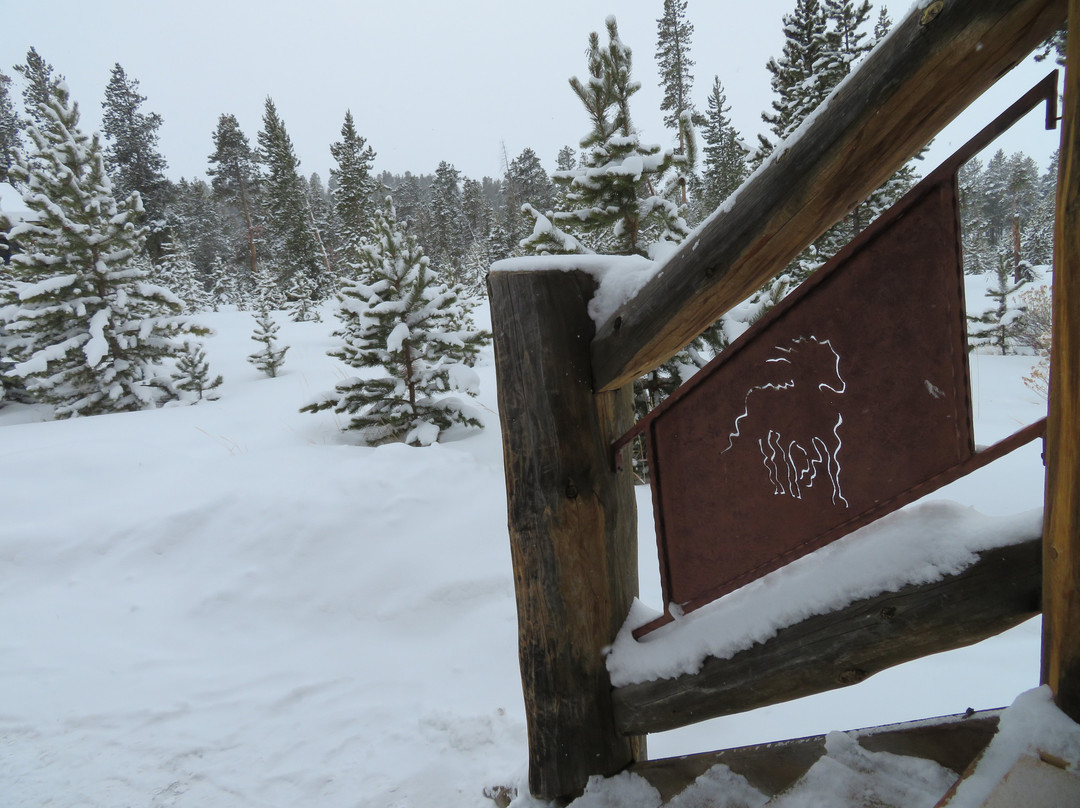 怀尔德霍斯酒店主图