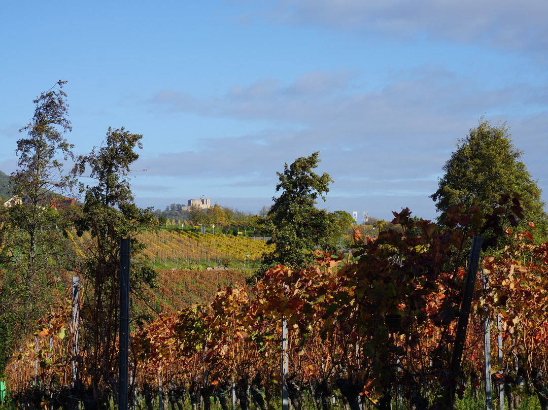 Landhaus Christmann主图