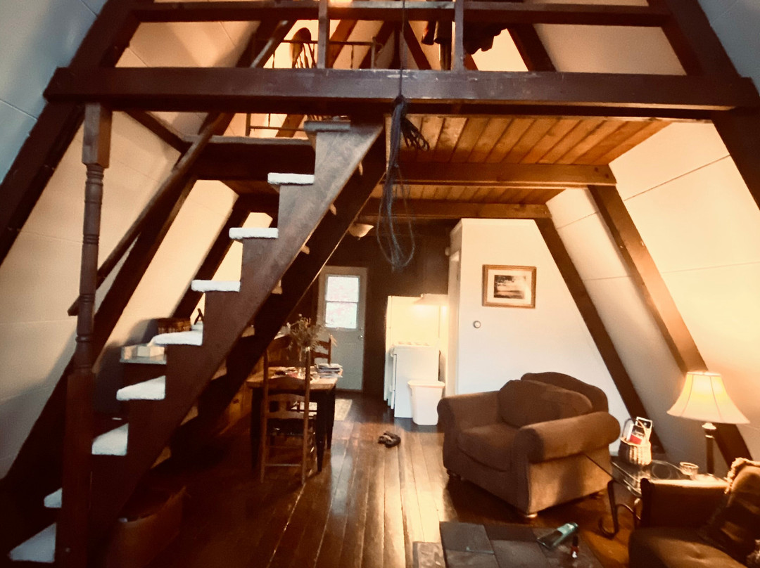 Robyn's Nest