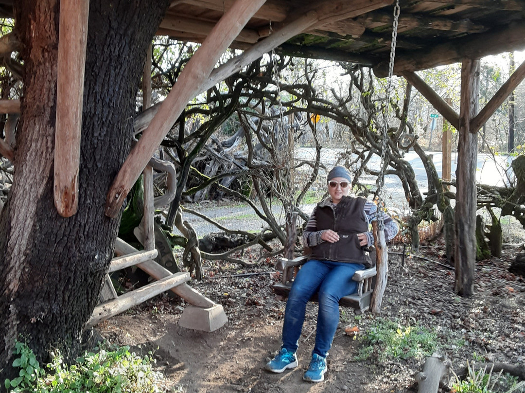 Its a Burl-Kerby必去景点