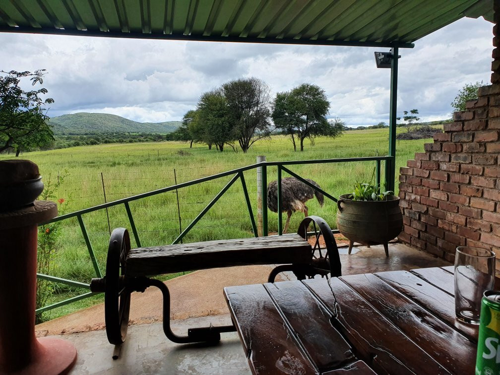 Geluksfontein Goat Cheese Farm景点图片