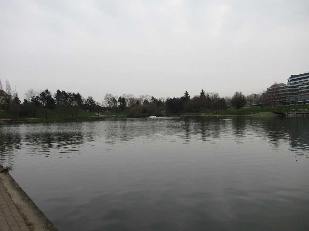 Lac du CUR景点图片