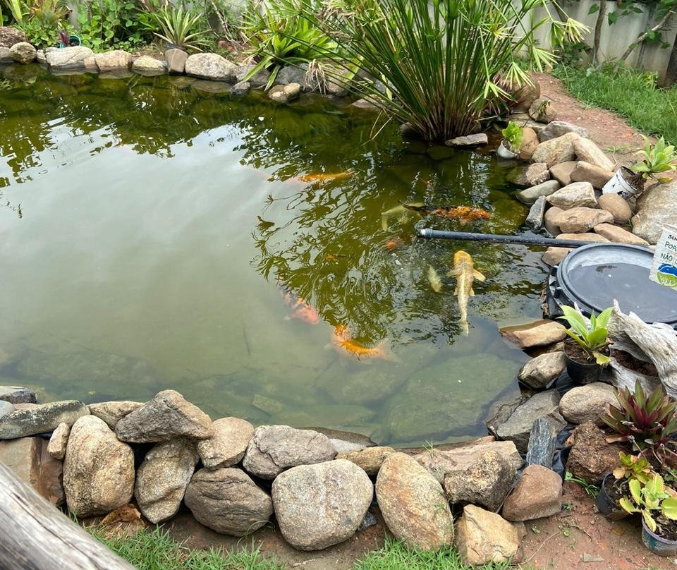 Aquario de Peruibe景点图片