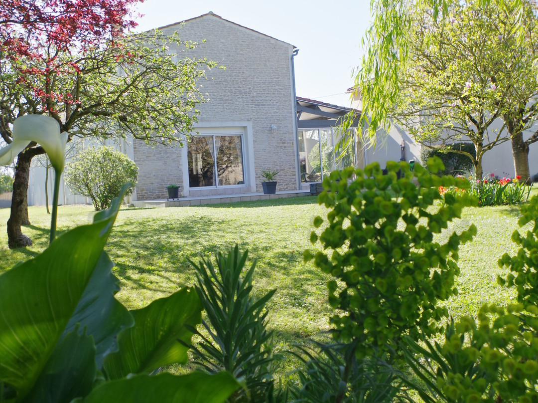 Les Lavandières主图