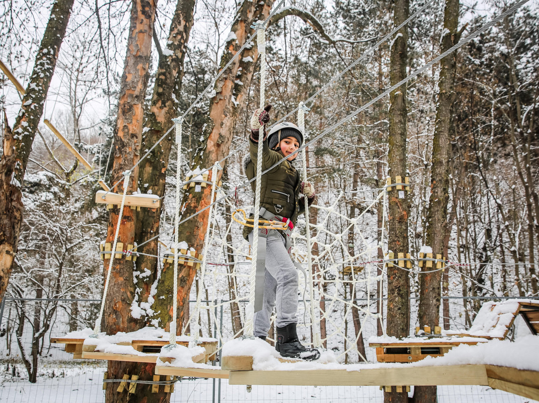 Verev Rope Park-Dilijan必去景点
