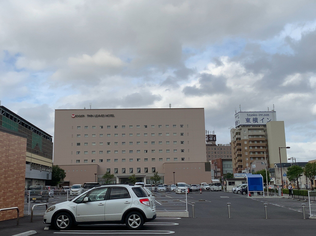 Twin Leaves Hotel Izumo主图