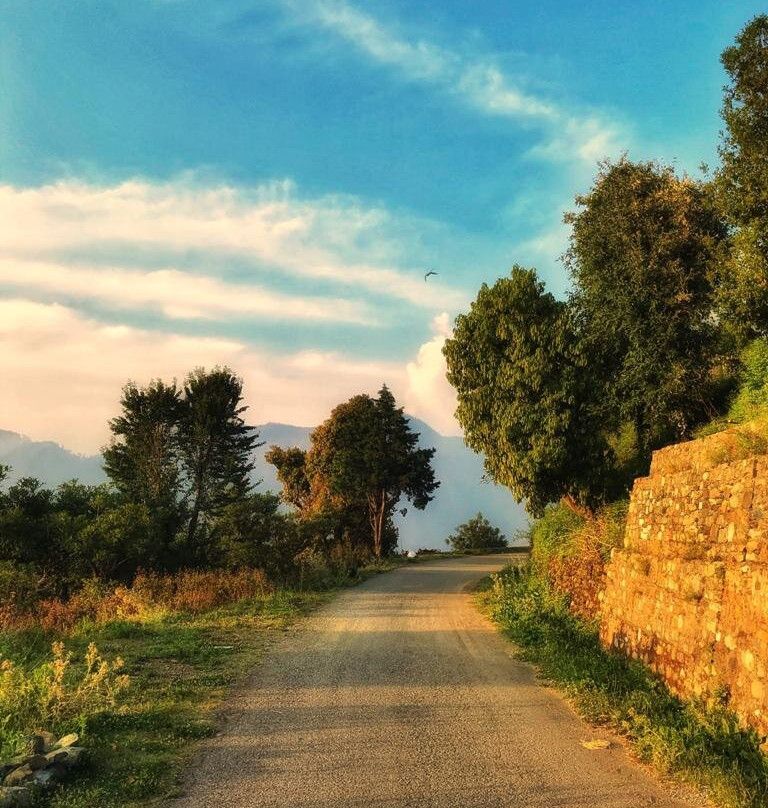 The Kumaon Exotica主图