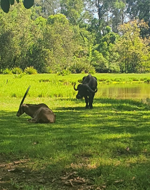 Bamburi Nature Trail景点图片