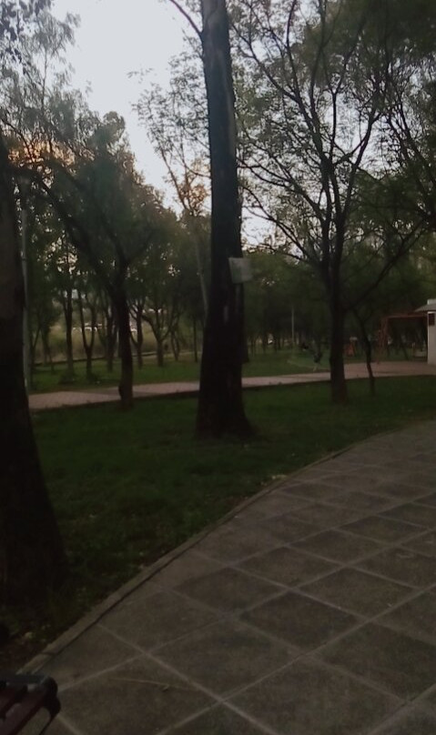 Parque La Costanera-塔里哈必去景点