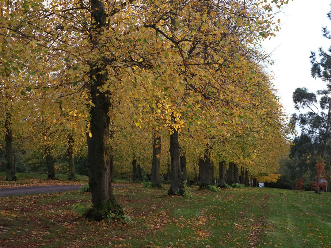 力推西部公园住宿酒店主图