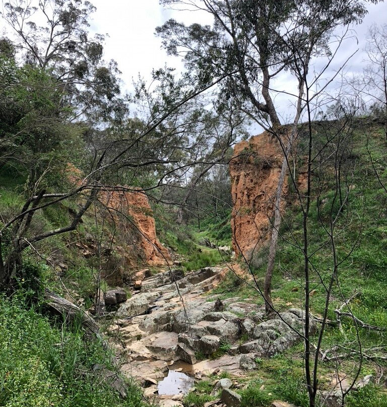 Bald Hill walking track-Hill End必去景点