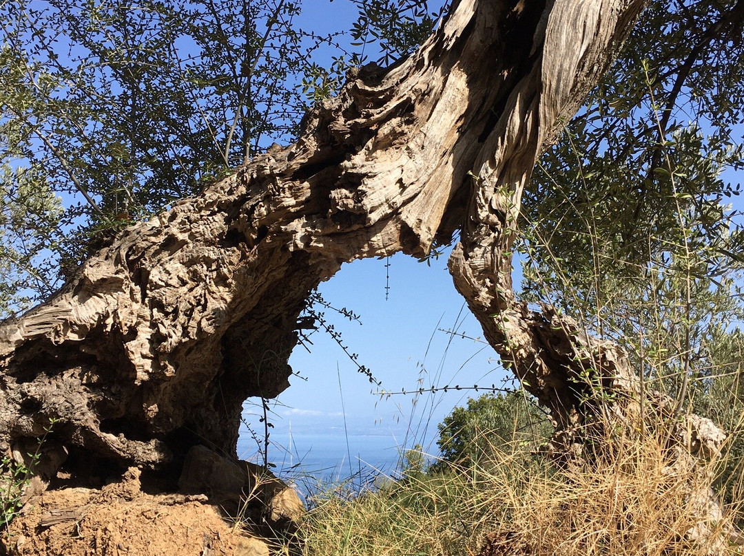 Greece on Foot-Tyros必去景点