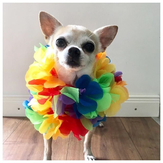 Can Mateu S'Illot-马纳科尔必去景点