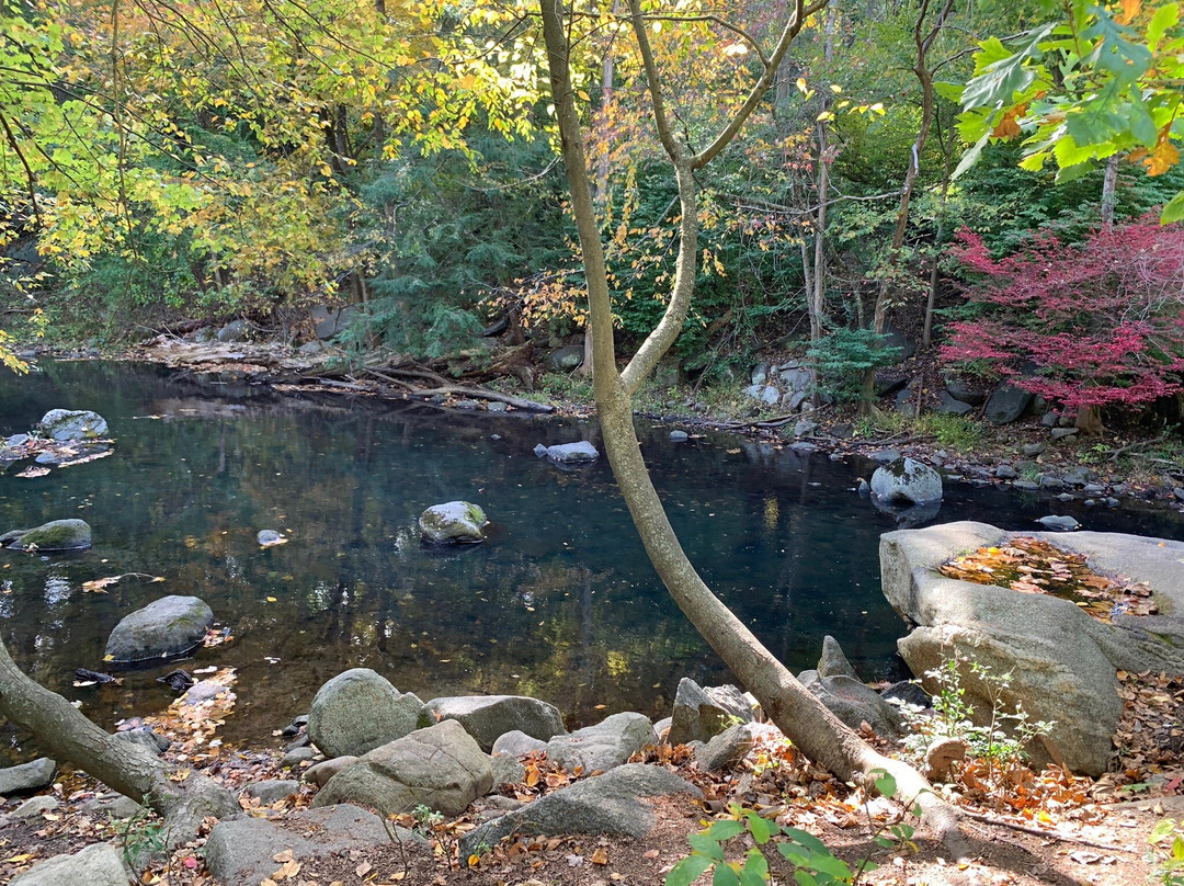 Mianus River Park-斯坦福必去景点