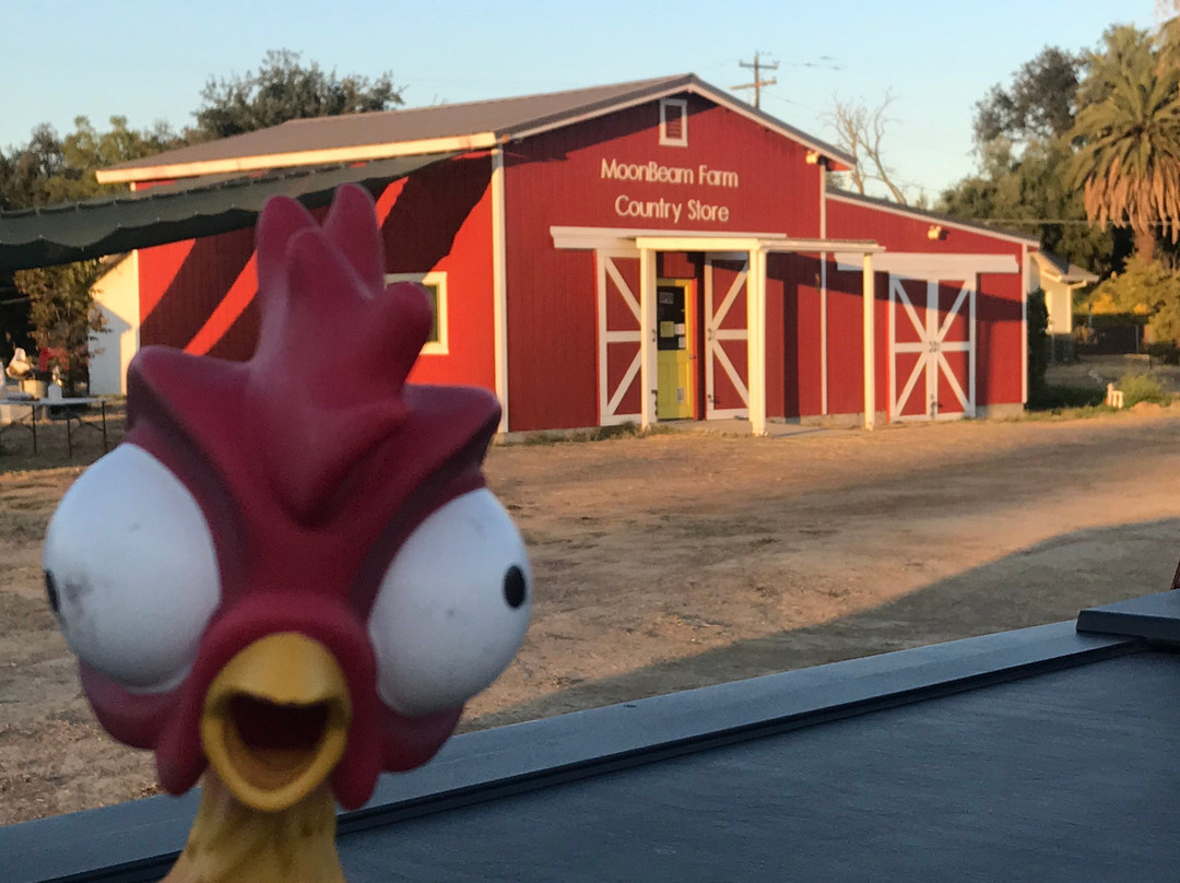 MoonBeam Farm-Corning必去景点