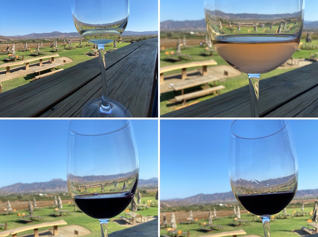 Decantos Vinicola景点图片