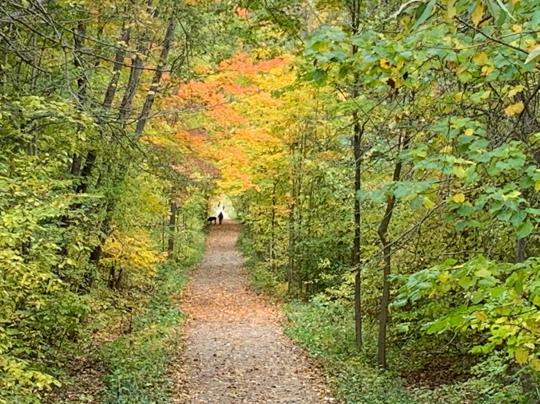 Elora Cataract Trailway-伊劳拉必去景点