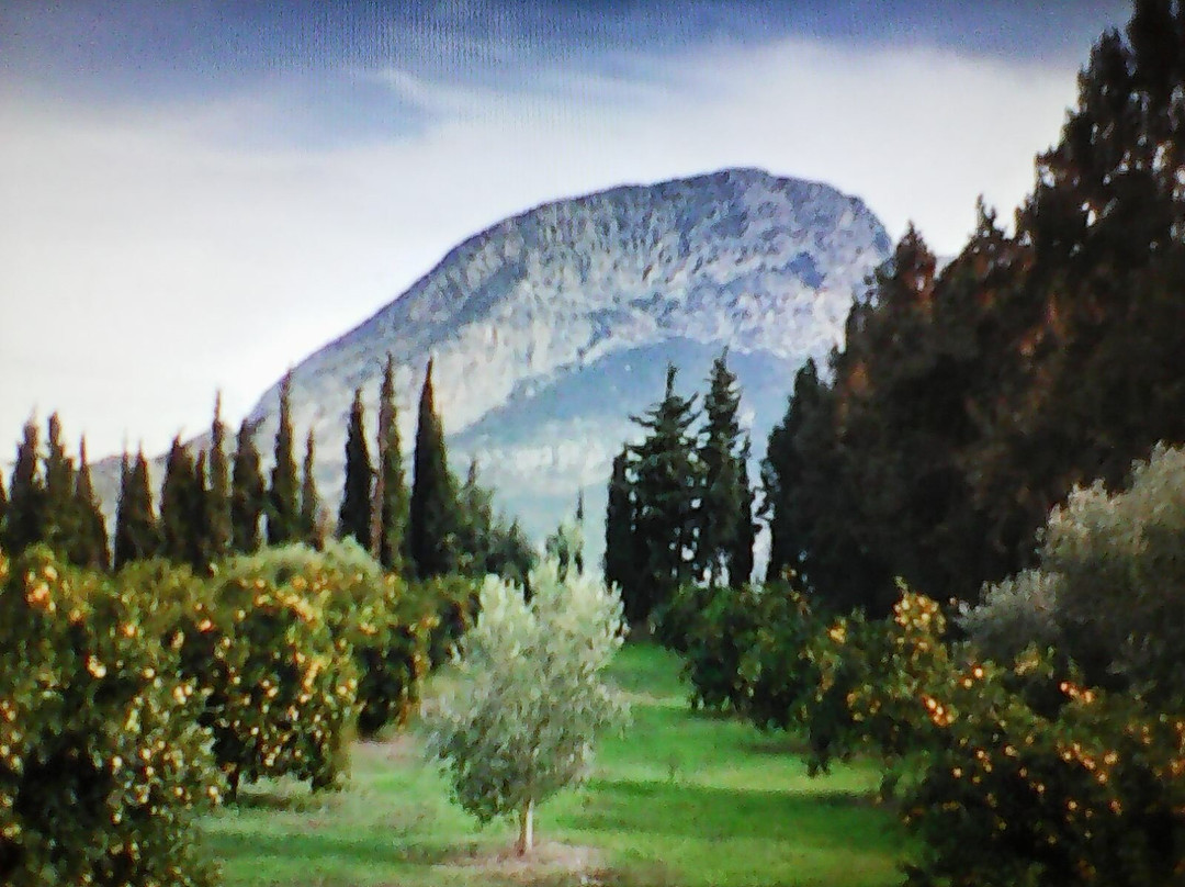 Agía Theodóra Arkadía主图