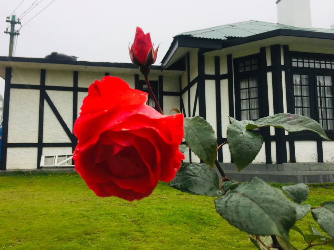 Oliphant Boutique Villa By Amaya主图