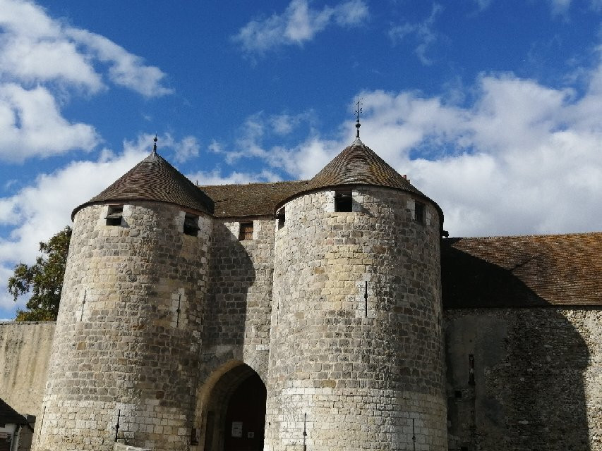 Château de Dourdan景点图片