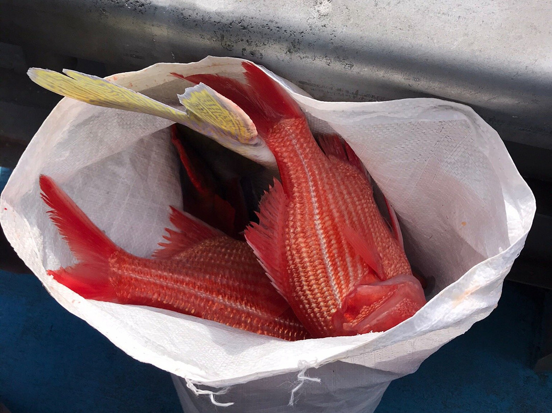 Black Jack Charters-埃斯佩兰斯必去景点