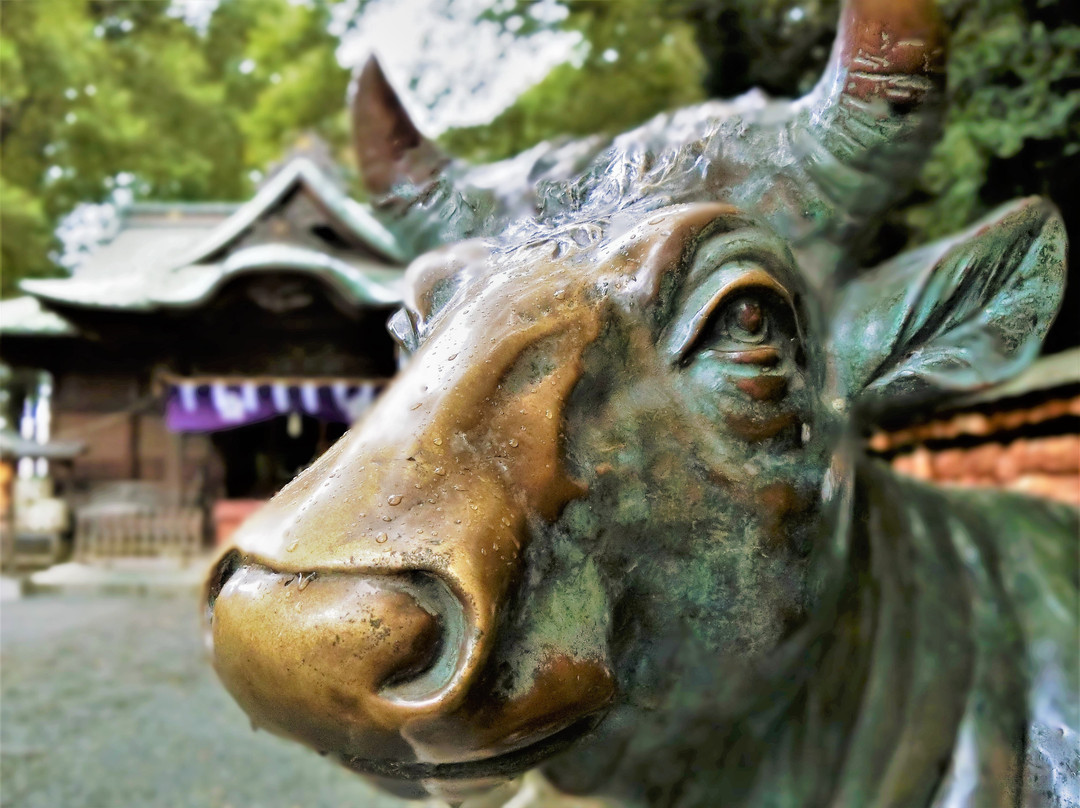 Yabo Tenmangu-国立市必去景点