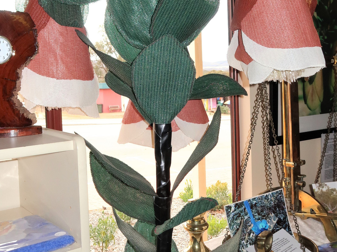 Fitzgerald Coast Visitor Centre-Ravensthorpe必去景点