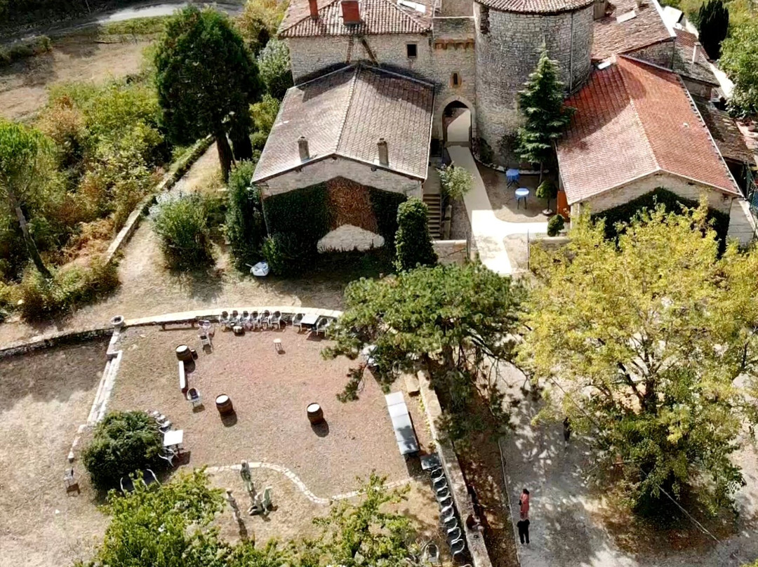 Le Chateau du Pin主图