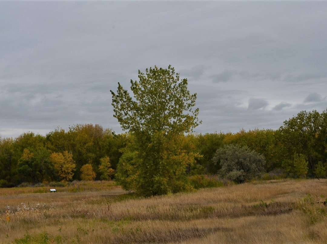 Cherry Creek State Park景点图片