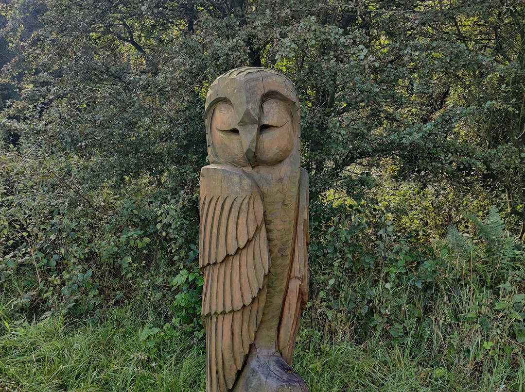 Flatts Lane Woodland Country Park-米德尔斯堡必去景点