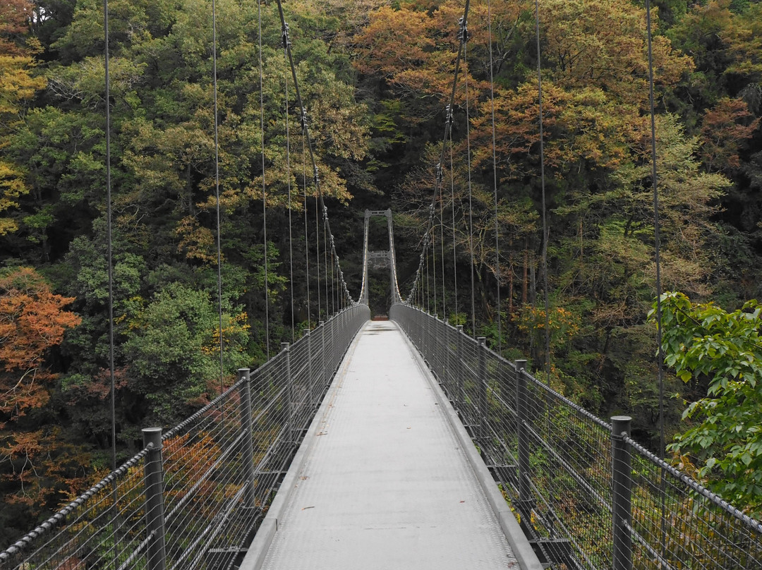 Tenryu Valley-饭田市必去景点