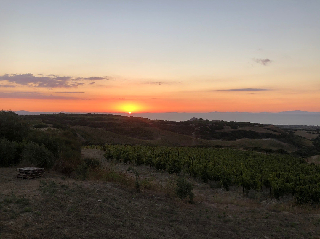 Tenute Dettori-Sennori必去景点