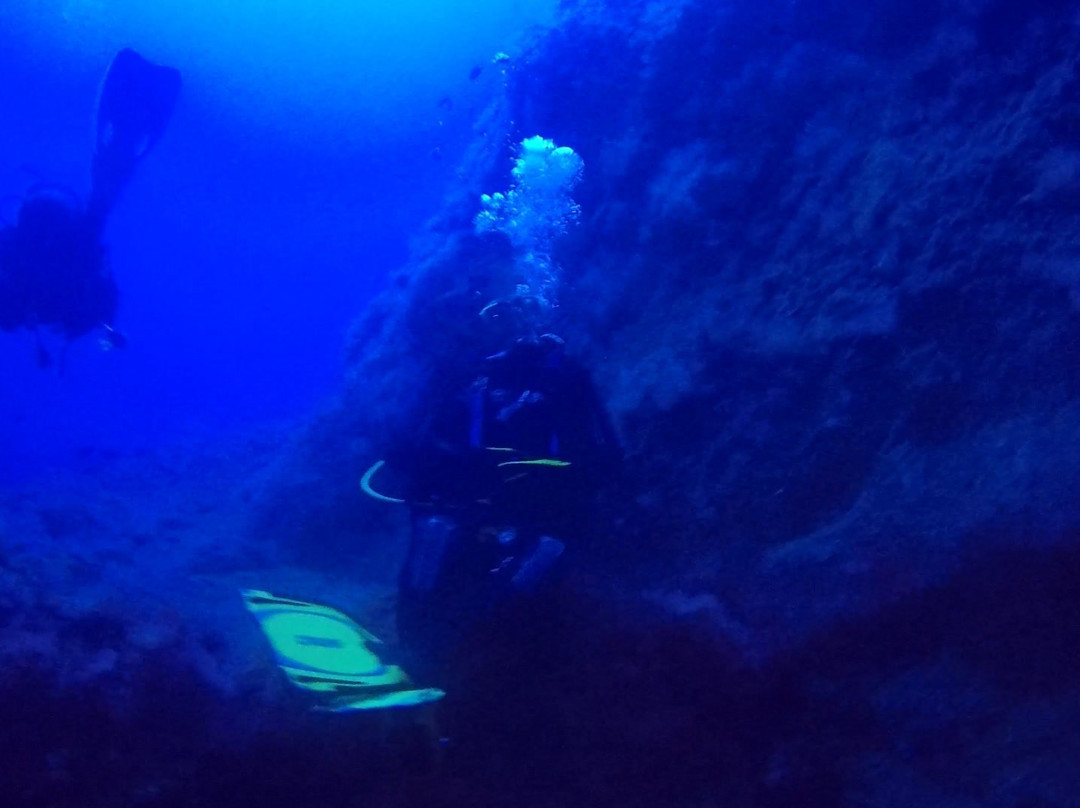 Buceo La Restinga景点图片