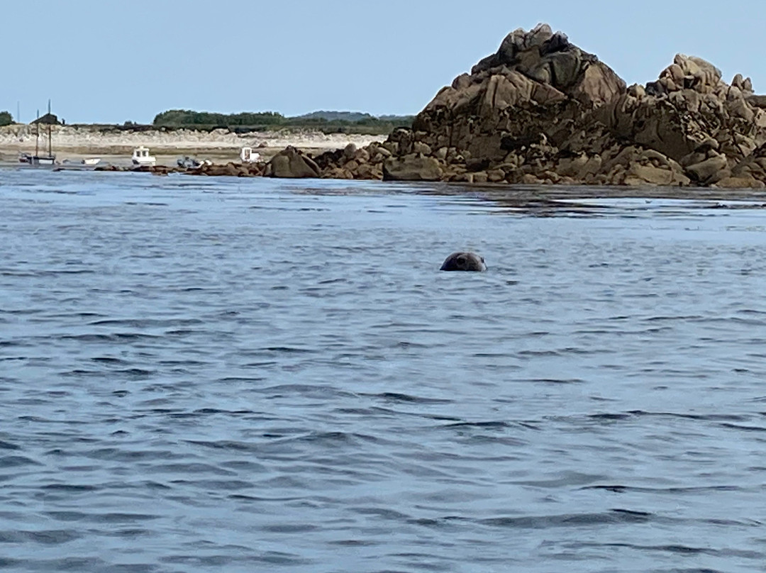 St Agnes Watersports-St Agnes必去景点